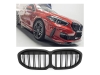 GRELHA DIANTEIRA LOOK M-PERFORMANCE PARA BMW SERIE 1 F40 / F41 2019--